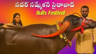 Jai Yadav Saidabad Sadar 2025 Festival in hyderabad | Buffalo's Dunnapotu Sayyata Sadar saidabad
