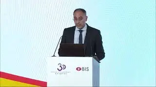 HKMA &ndash; BIS Joint Conference｜Monitoring Basel III: A look at the data Presentation