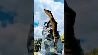 the lizard statue is alive#trending#cat#shots