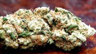 The Chron Song by Haze Carrera