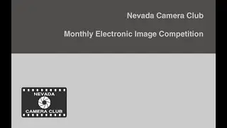January 2026 Nevada Camera Club Monthly Competition
