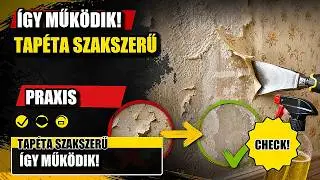 #115 Tapéta szakszerű eltávolítása oldószerrel