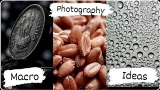 Macro Photography Ideas Shoot At Home 2021 #nr_photography #macro #photography