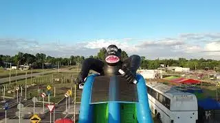 ¡Ciudad del Plata se viste de fiesta!✨