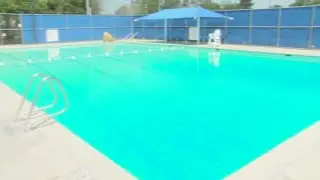 How safe is your public pool? Half of all Americans use swimming pools instead of showers
