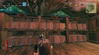 Valheim Storage Build Tips