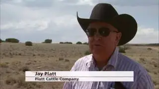 3 minutes with R-CALF USA Director Jay Platt on NAFTA
