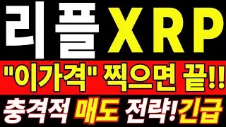[리플 전망] 🚨 지금 선택 하나로 이후 판이 갈린다 &middot; 