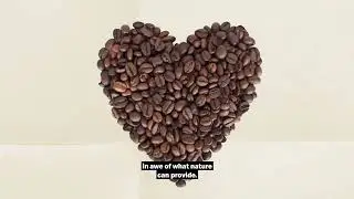 The Pursuit of Sustainable McDonald's Coffee
