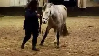 Ponychou 1er f&eacute;vrier 2015 - Stage avec Pauline Beulze