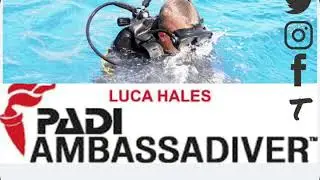 Summer is definitely here now in Sharm el Sheikh  #padiambassadiver #lucahales #padi4change #mypadi