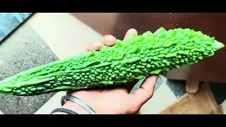 My garden fresh organic vegetables #garden #vegetables #harvest 