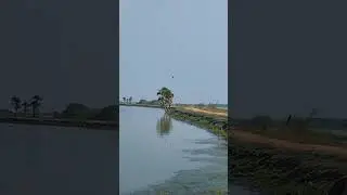 kolleru lake in kaikaluru must visiting place