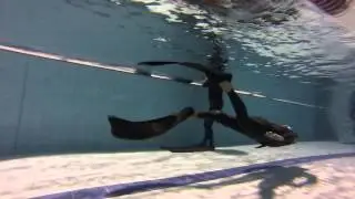 Teaser Aquatilis