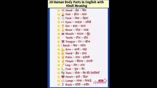 20 Human Body Parts in English with Hindi Meaning #vocabs #dailyvocabulary #shorts