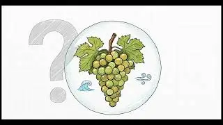MONTECILLO ALBARINO SPAIN 2022