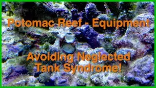 Reef Tank Equipment Selection - Avoiding Neglected Tank Syndrome!