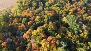 Fall Color At The Farm