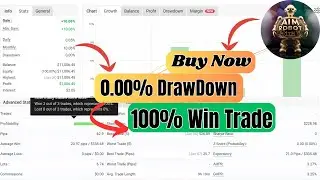 AIM EA Full Review 💥 High-Accuracy Forex Robot | No DLL | Real Results