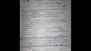 pst past paper 226/09/2021