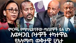 ምርጫ የሚካሄድባቸው ጣቢያዎች ይፋ ሆኑአወዛጋቢ ቦታዎች ተካተዋል || የአላማጣ ወቅታዊ ሁኔታ