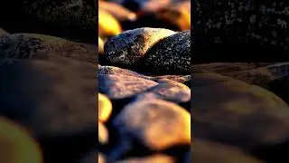 The Beauty of Simplicity: A Photography Collection of Natural Minimalism