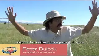 San Tosielo, Toldos Verdes - Sin ti (no quiero)