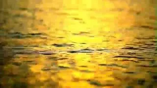 World Music Sample Pack Vol. 01 (Demo Song)