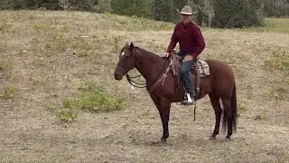 Things to DO and NOT DO ~ Equitation Tips for ALL Riders.