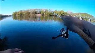 Awesome Shad Fishing Clips From New Jersey