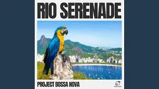 Samba Flow