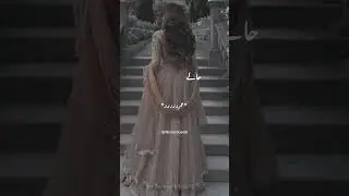Heart-Touching Urdu Novel Lines | Bakht by Mehrunnisa Shahmeer | Urdu Romantic Novel #urdunovels