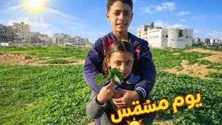 يوم مشمس رغم كل شيء 🌞