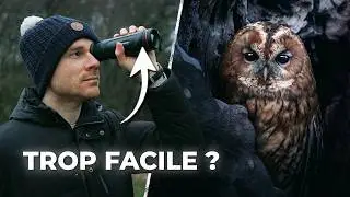 Comment j'ai trouv&eacute; une Loge de Chouette Hulotte