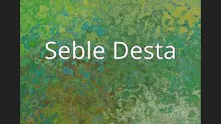 Seble Desta