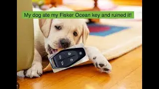 My puppy chewed up my Fisker Ocean's key fob- and the company is BANKRUPT!