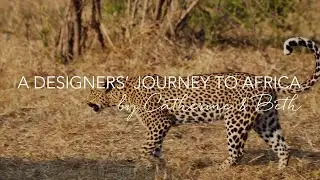 Africa Stories | Leopard Print Trend