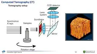 Synchrotron for your research   Feizhou He