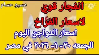 اسعار الفراخ البيضاء اليوم سعر الفراخ البيضاء اليوم الجمعه 30-1-2026 في مصر 