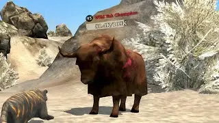 The Tiger - Wild Yak Champion 🏆