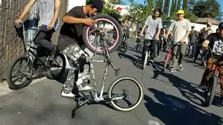 Oss x everyone's fucking jam 2018