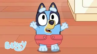 Baby Race | Bluey Season 2 | Bluey