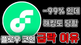 플로우 코인 급락 이유_어제 있었던 떡락사건