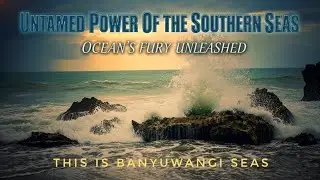 Untamed Power Of The Southern Seas || Ocean's Fury Unleashed 