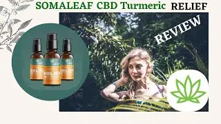 ✅🌿The BEST Natural Pain Relief Option Soma Leaf CBD or Prescription✅🌿
