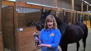 Absorbine UltraShield EX | Спрей от мух для лошадей