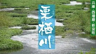 兵庫・西播磨・新宮町　栗栖川