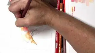 Rufous Hummingbird Painting Tutorial | Step-by-step