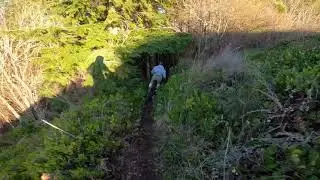 Shred Factory