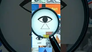 Unveiling the Illuminati: The Secret Society&rsquo;s New World Order Plans